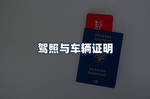 车辆证明展示