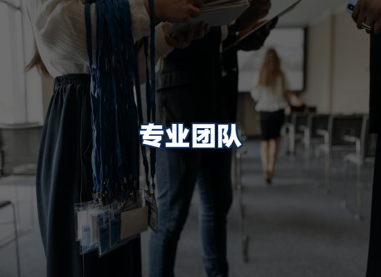 专业团队